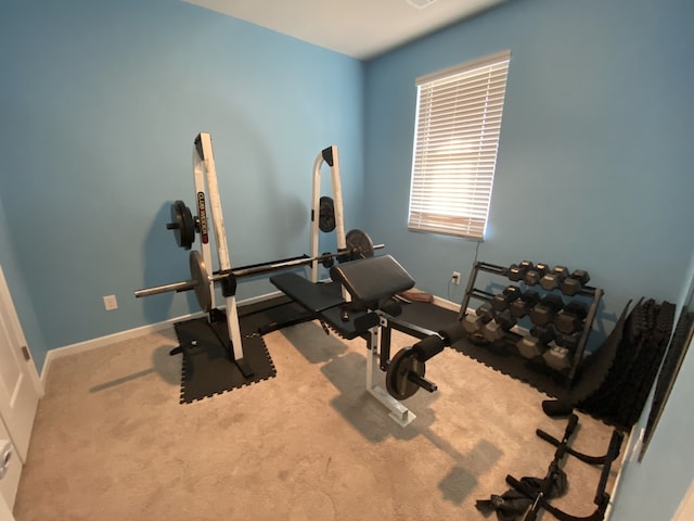 exercise room featuring carpet floors