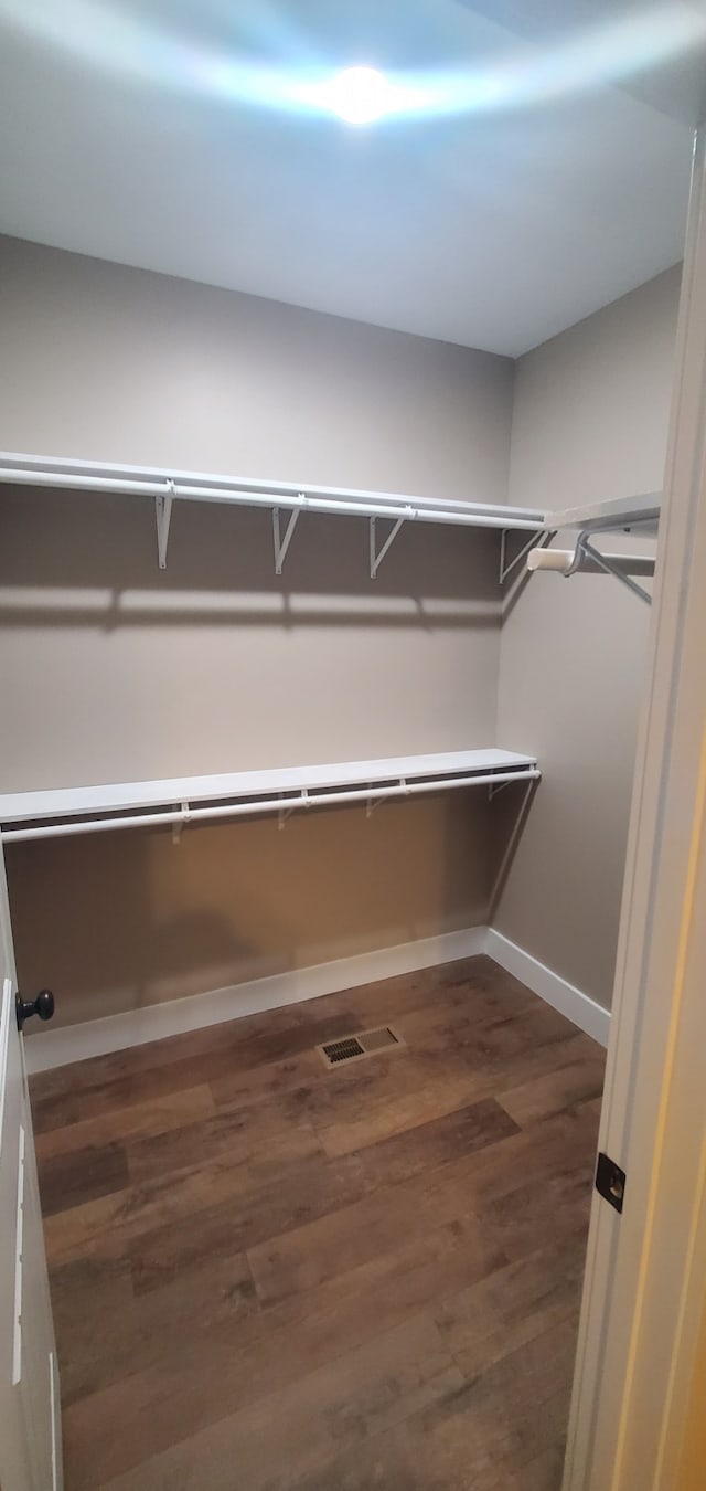 spacious closet with dark wood-type flooring