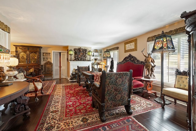 living room with dark wood-type flooring and plenty of natural light