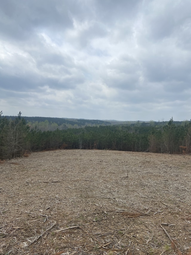 0 Old Hohenwald Rd, Linden TN, 37096 land for sale