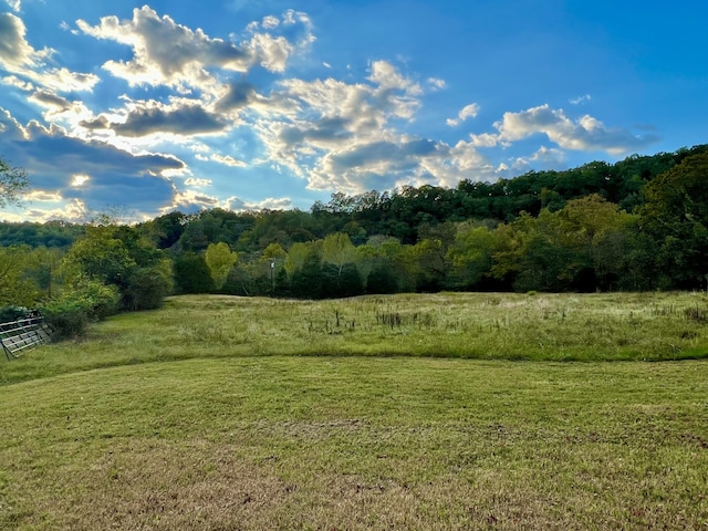 view of local wilderness featuring a rural view