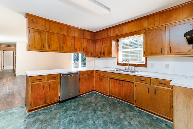 kitchen featuring sink, dark wood-type flooring, dishwasher, and a wealth of natural light