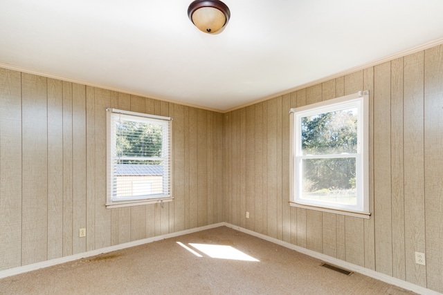 spare room with wooden walls, carpet floors, and plenty of natural light