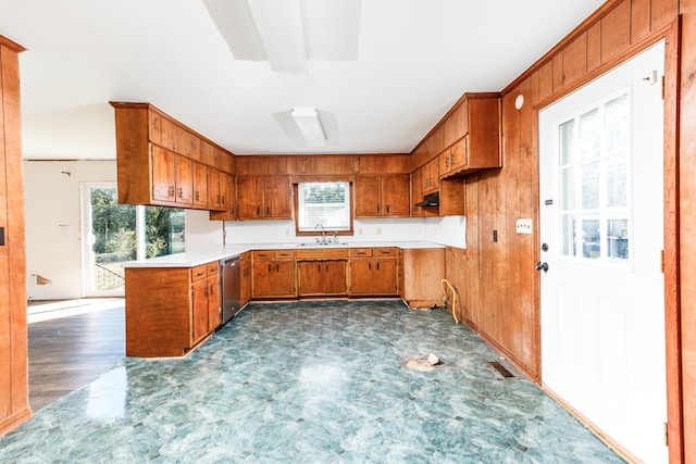 kitchen featuring dark wood-type flooring, a healthy amount of sunlight, stainless steel dishwasher, and sink