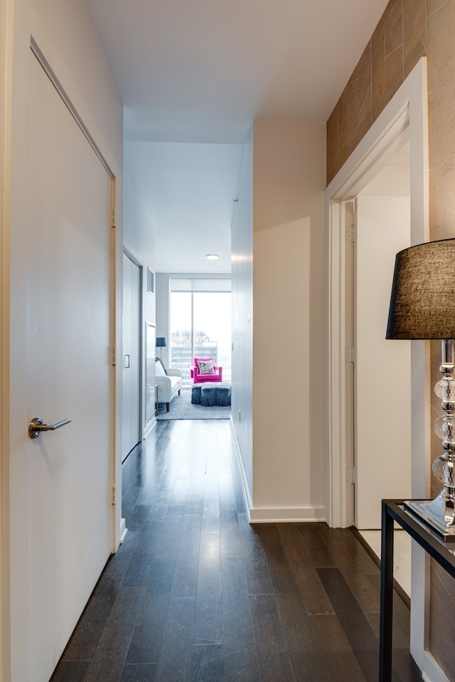 corridor with dark hardwood / wood-style floors