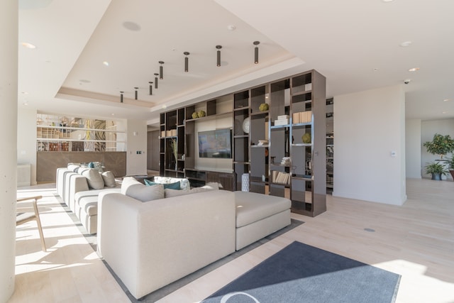 living room with a tray ceiling and light hardwood / wood-style flooring