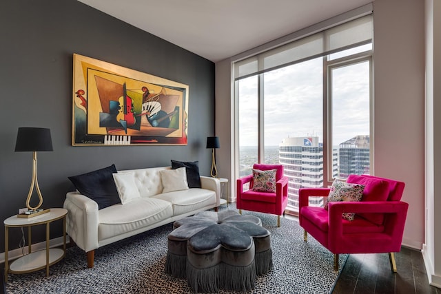 living room featuring expansive windows