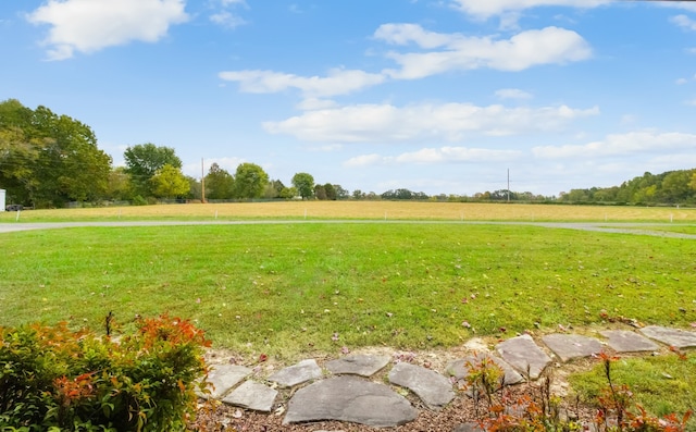 view of yard with a rural view