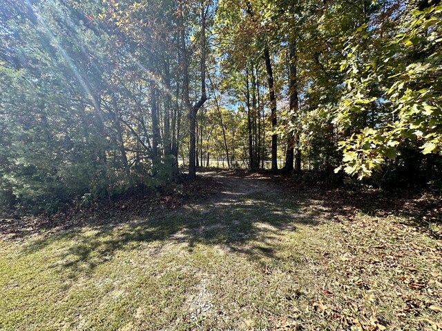 0 Leatherwood Ford Rd N, Jamestown, TN 38556 - photo 6