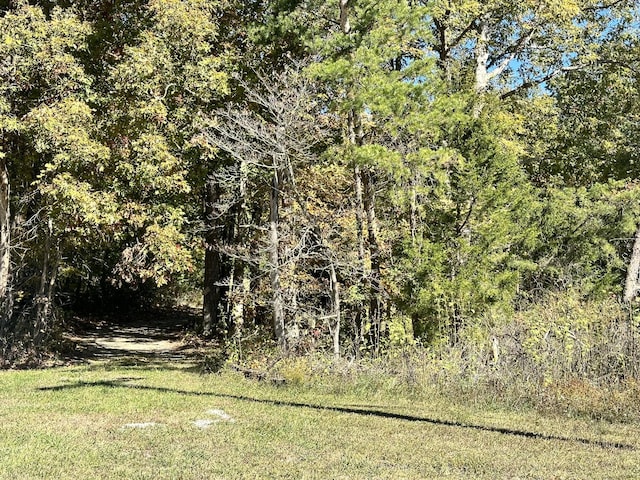 0 Leatherwood Ford Rd N, Jamestown, TN 38556 - photo 2