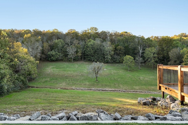 43 Landfill Ln, Brush Creek, TN 38547 - view of yard