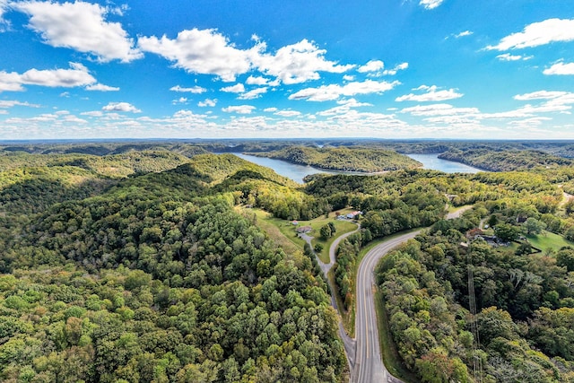 0 Smithville Hwy, Silver Point, TN 38582 - photo 4
