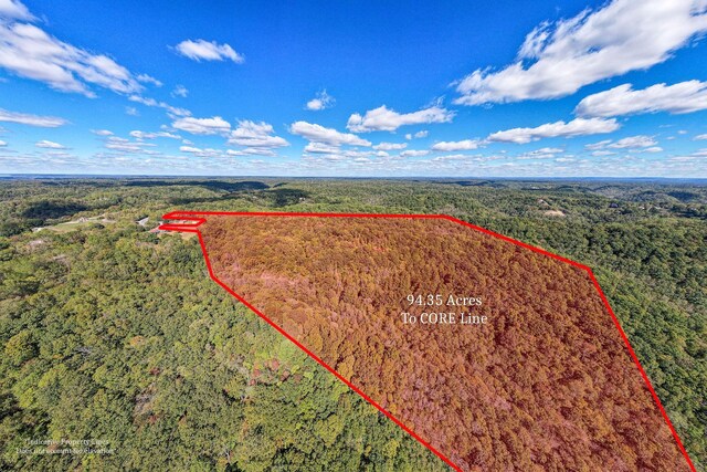 0 Smithville Hwy, Silver Point, TN 38582 - photo 8
