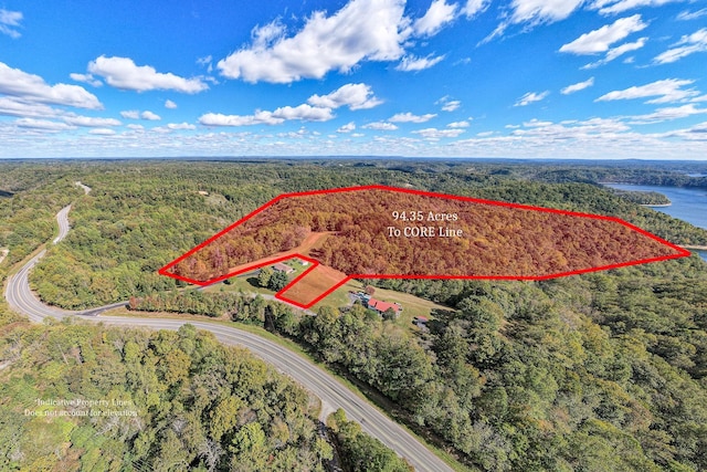 0 Smithville Hwy, Silver Point, TN 38582 - photo 2