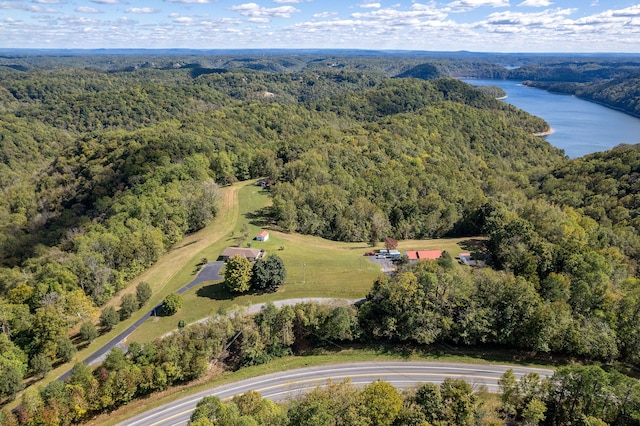 0 Smithville Hwy, Silver Point TN, 38582 land for sale