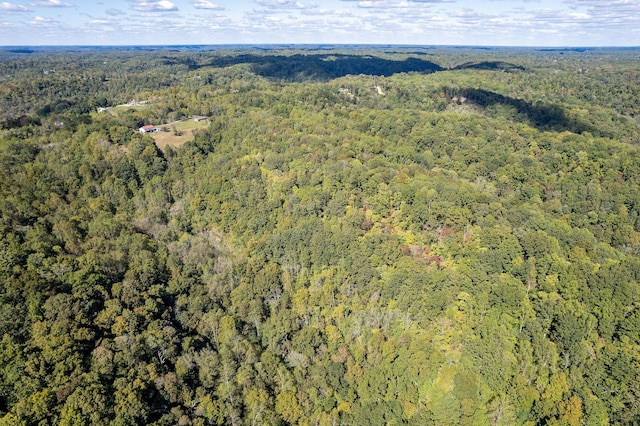 0 Smithville Hwy, Silver Point, TN 38582 - photo 11