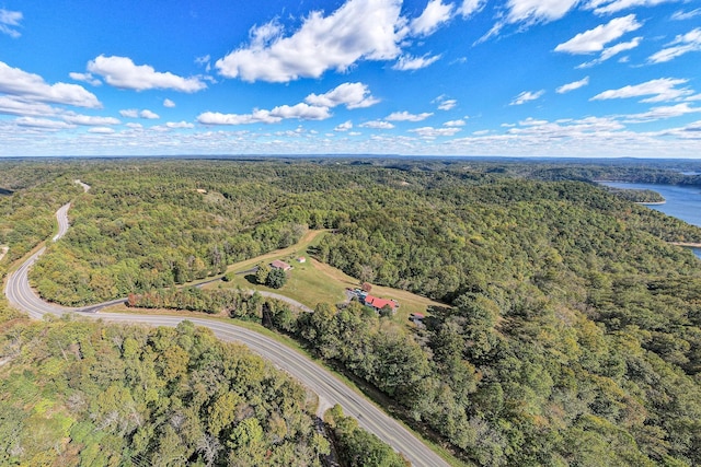 0 Smithville Hwy, Silver Point, TN 38582 - photo 6