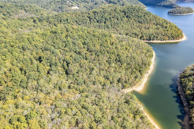 0 Smithville Hwy, Silver Point, TN 38582 - photo 10