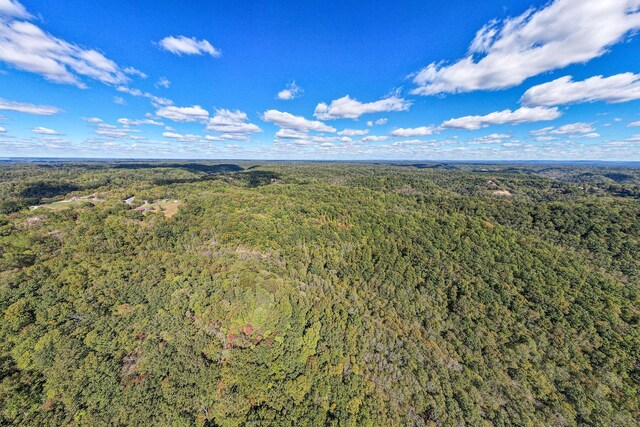 0 Smithville Hwy, Silver Point, TN 38582 - photo 9