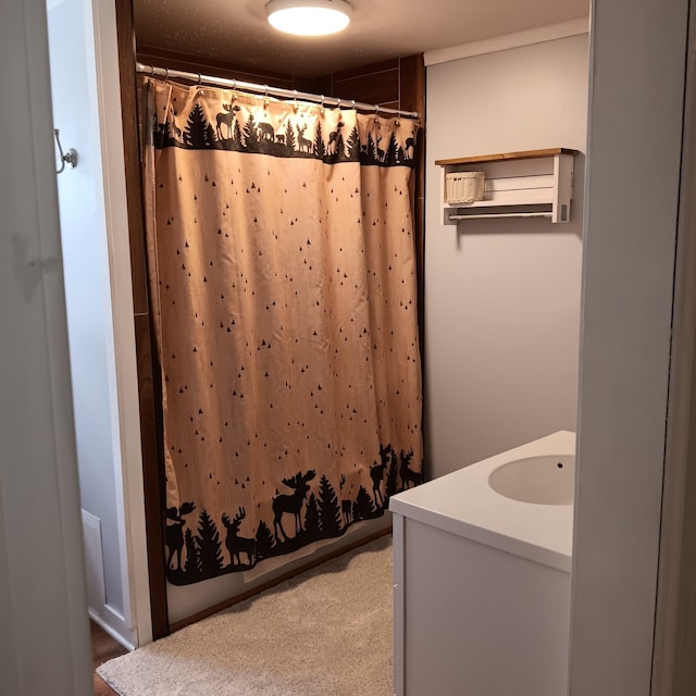 bathroom with vanity and a shower with curtain