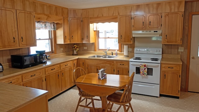 kitchen featuring a wealth of natural light, sink, white electric range, and a textured ceiling