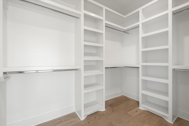 spacious closet with wood-type flooring