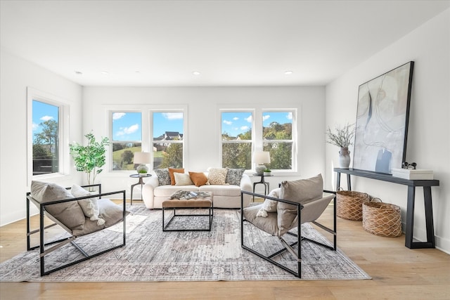 living room featuring light hardwood / wood-style floors and a wealth of natural light