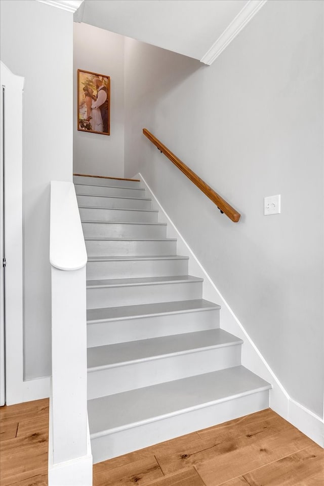 stairs with ornamental molding and wood-type flooring