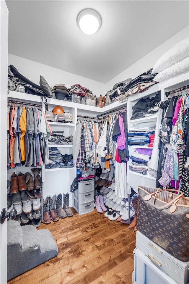 walk in closet with wood-type flooring