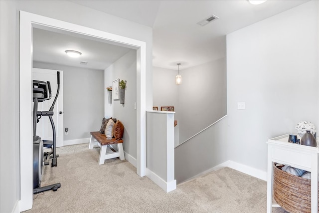 interior space with light colored carpet