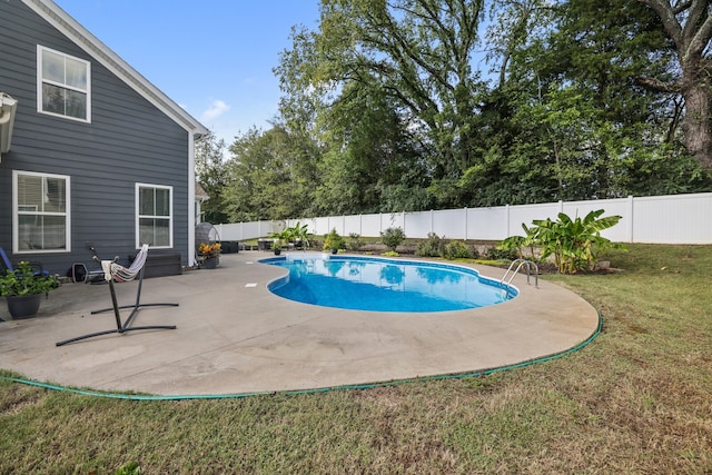 view of swimming pool featuring a patio and a lawn