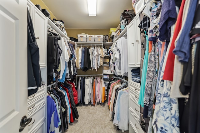 walk in closet with light carpet