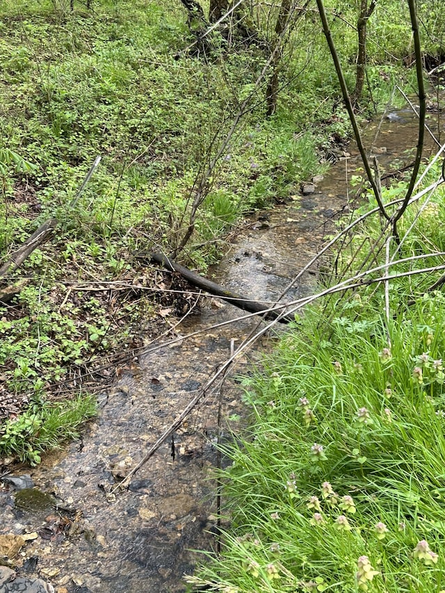 view of landscape featuring a water view