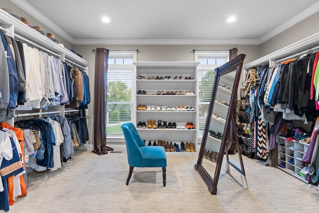 walk in closet with light colored carpet