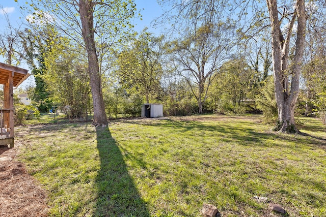 view of yard with a shed