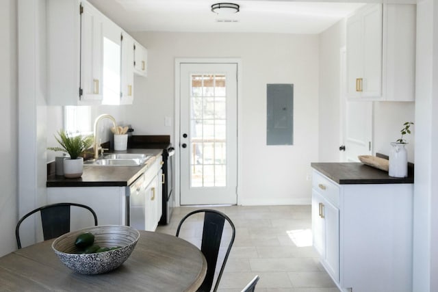 kitchen with electric panel, white cabinetry, stainless steel dishwasher, and sink