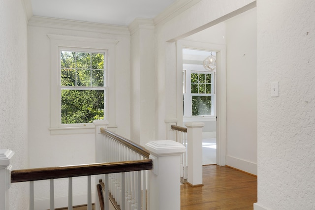 stairway with ornamental molding and hardwood / wood-style flooring