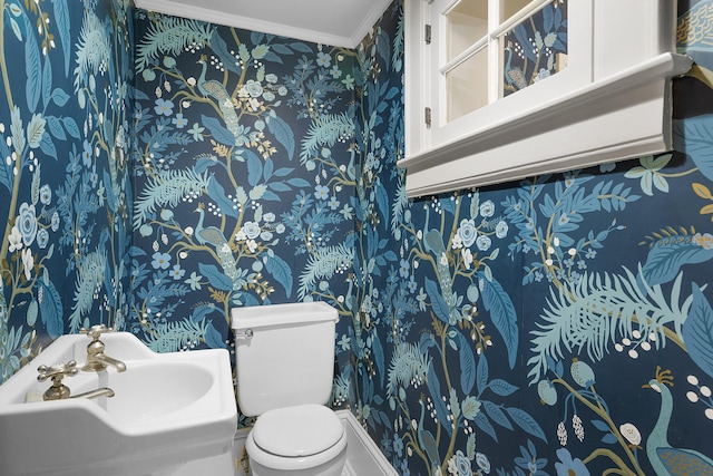 bathroom featuring sink, crown molding, and toilet