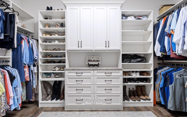 walk in closet featuring dark hardwood / wood-style flooring