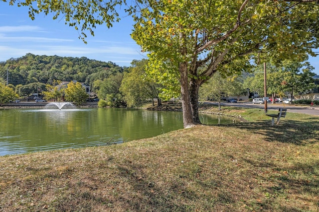 view of water feature