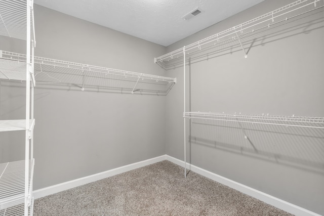 spacious closet with carpet