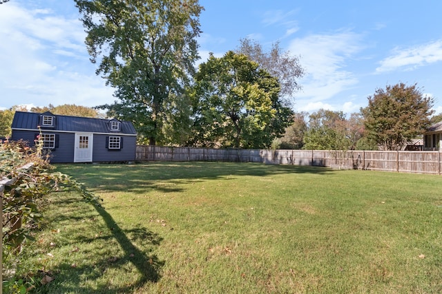 view of yard with a storage shed