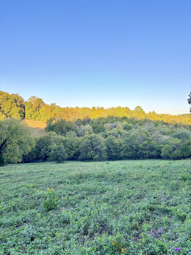 Listing photo 2 for 0 Short Rd, Lewisburg TN 37091