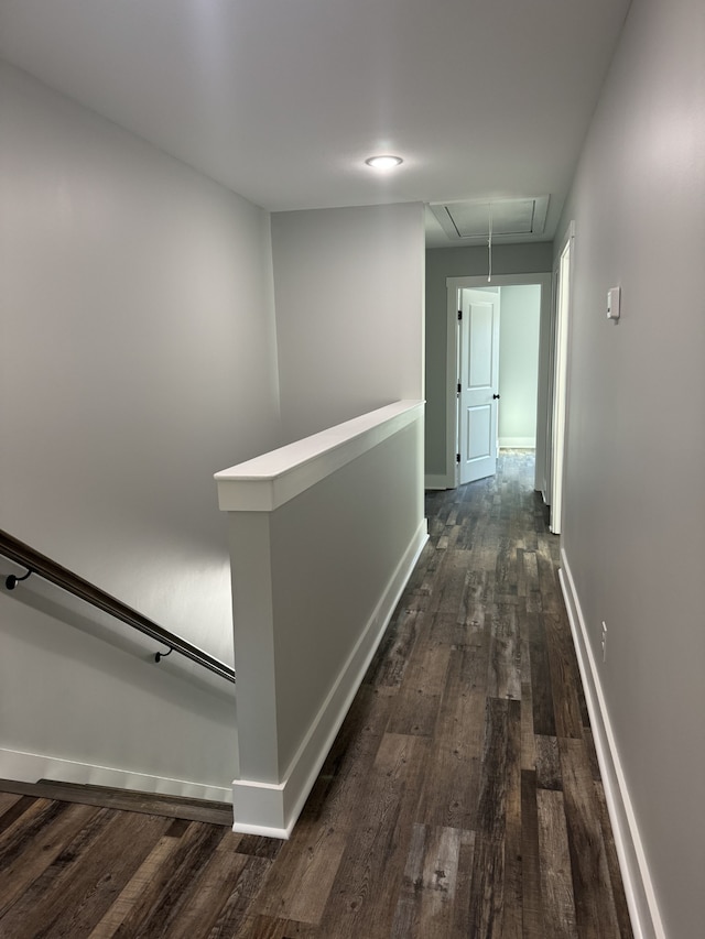 hallway with dark wood-type flooring