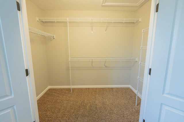 walk in closet with carpet