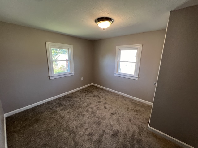 unfurnished room with carpet floors and a healthy amount of sunlight