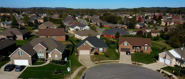 bird's eye view