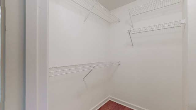 spacious closet featuring hardwood / wood-style floors