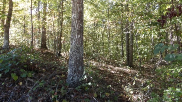 0 Riverwatch Trce, Sparta TN, 38583 land for sale