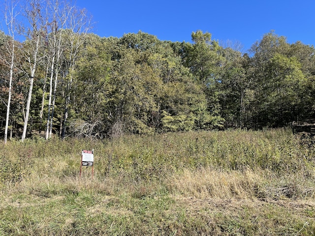 0 Gravel Hill Rd, Bethpage TN, 37022 land for sale